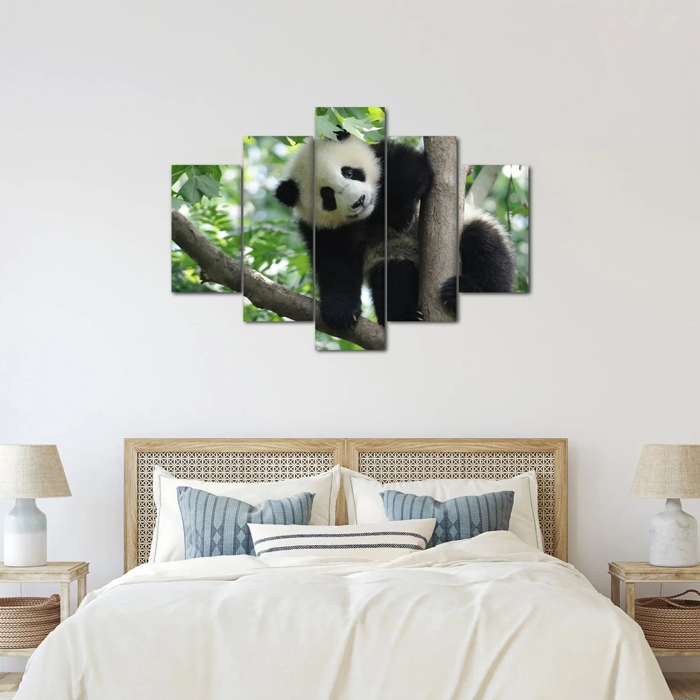 Obraz - Panda na strome (150x105 cm)