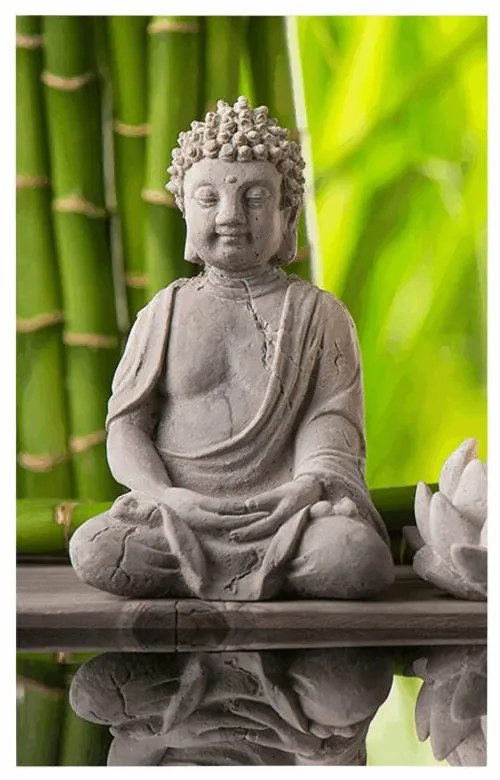 Plagát harmonický Budha - 60x90 silver