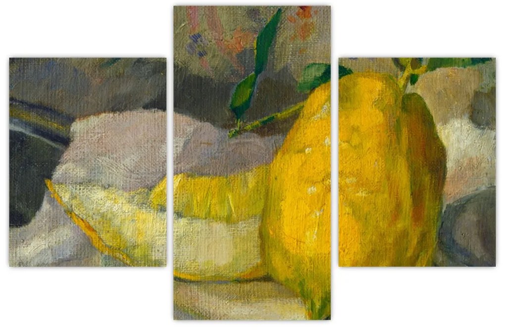 Obraz - French 19th Century, Melon and Lemon, reprodukcia (90x60 cm)