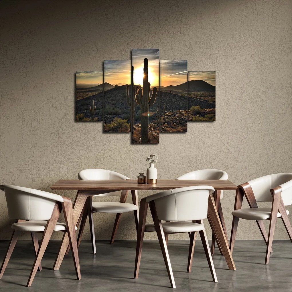 Obraz - kaktusy v slnku (150x105 cm)