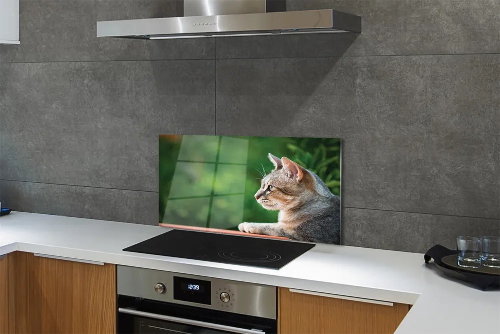 Nástenný panel  vyzerajúci mačka 120x60 cm