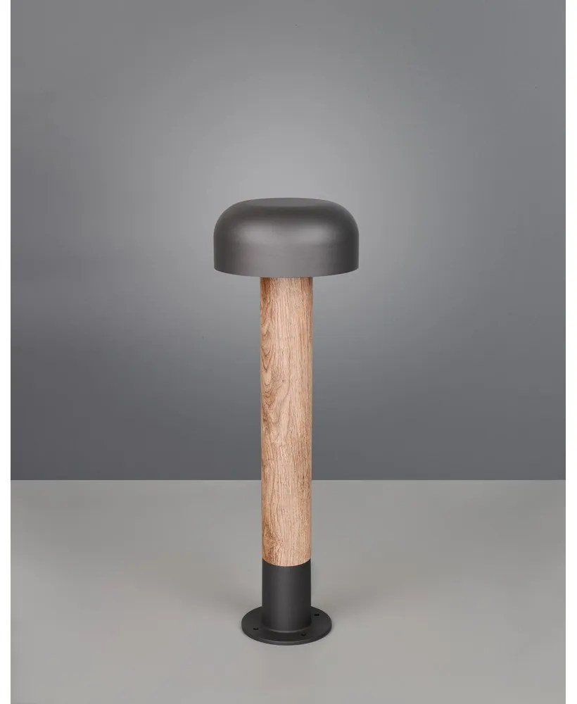 Stĺpové vonkajšie svietidlo ø 19 cm Fraser – Trio