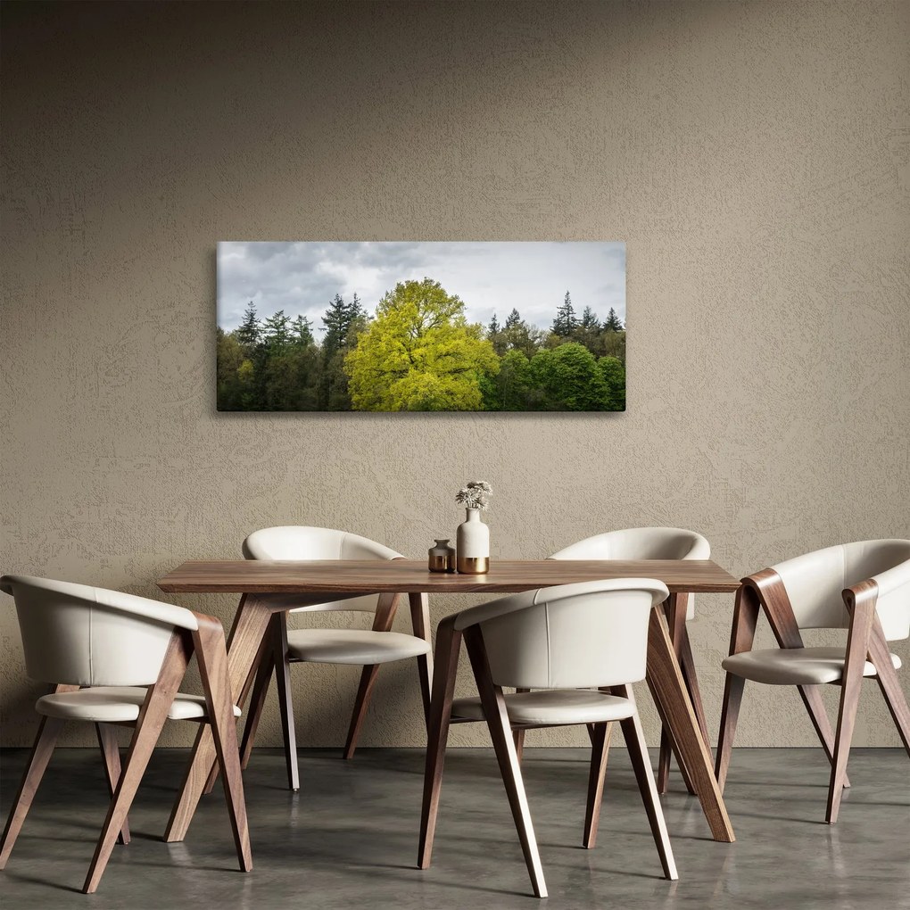 Obraz zeleného stromu uprostred poľa (120x50 cm)
