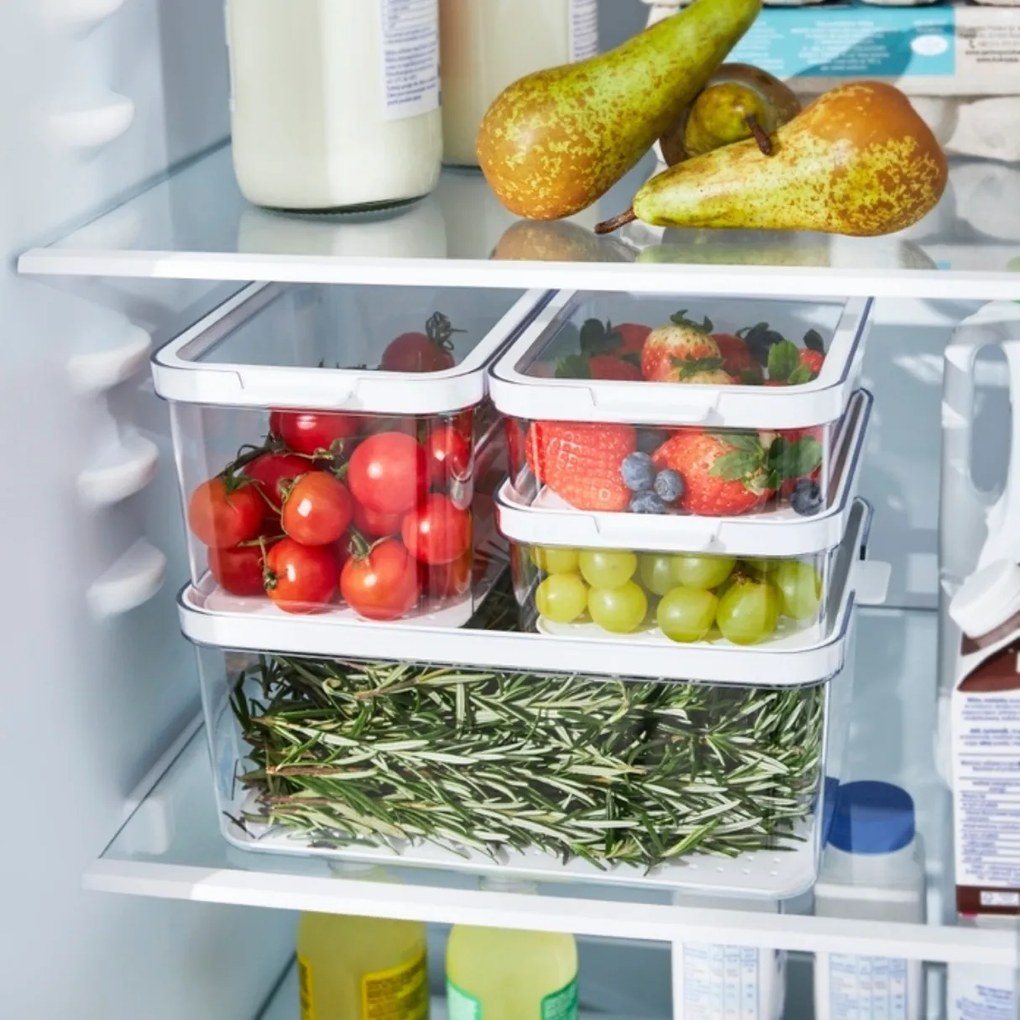 Rotho Organizér do chladničky s vekom a špeciálnou podložkou 2,6 l CAUMA