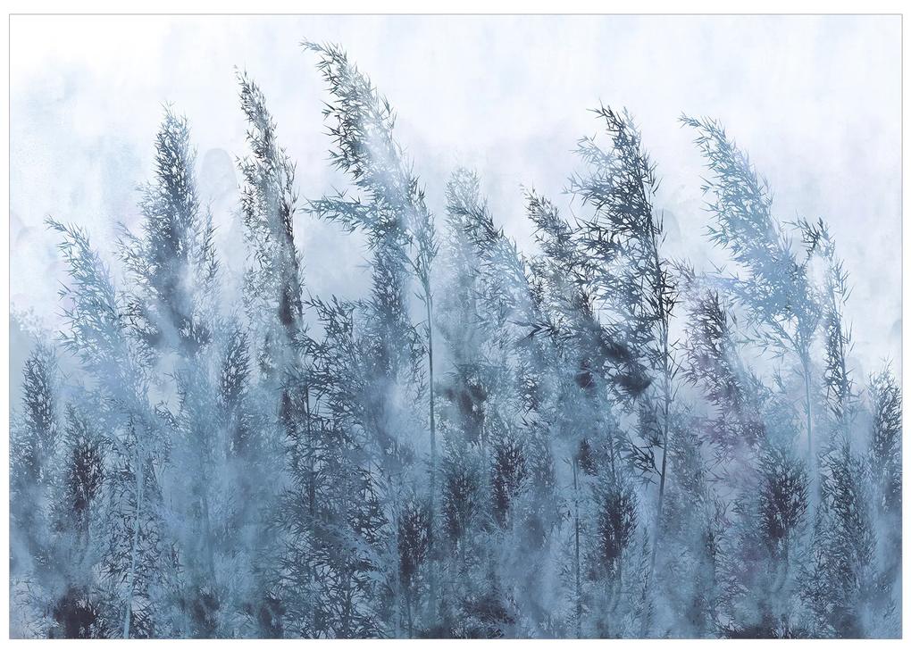 Artgeist Fototapeta - Tall Grasses - Grey Veľkosť: 100x70, Verzia: Standard