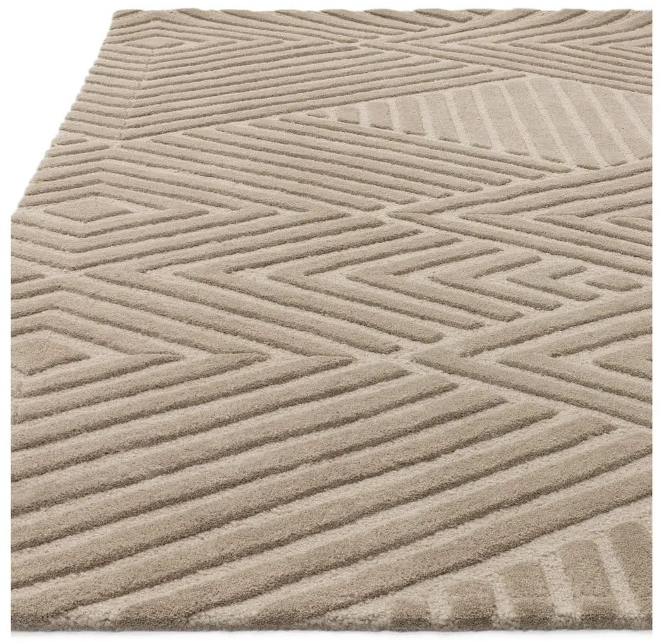 Svetlohnedý vlnený koberec 200x290 cm Hague – Asiatic Carpets