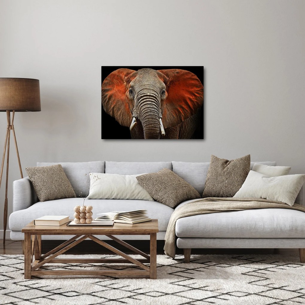 Obraz - Slony z Tsavo (70x50 cm)