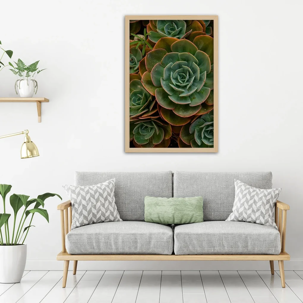 Gario Plagát Dekoratívne sukulenty Farba rámu: Bez rámu, Rozmery: 30 x 45 cm