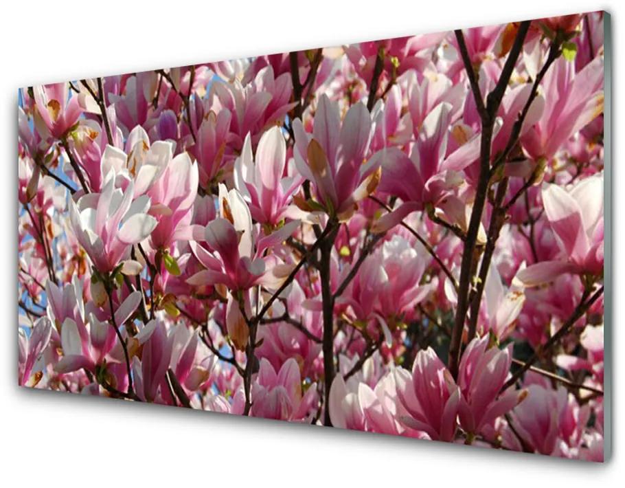 Obraz plexi Vetvy kvety rastlina 100x50 cm
