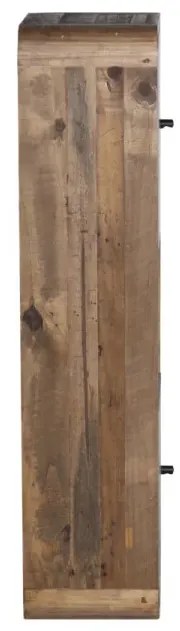 furniture-nabytek.cz - Masivní koupelnová skříňka Dingle z recyklované borovice a MDF, lakovaná, přírodní / šedá – 40×25×110 cm
