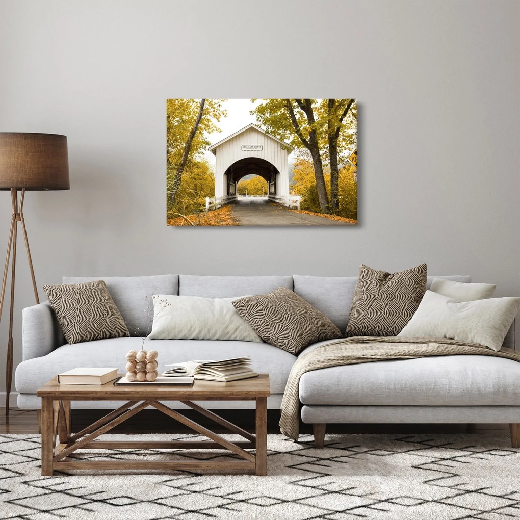 Obraz mosta v Oregone (90x60 cm)