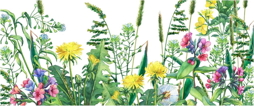 Obraz - Maľované lúčne kvety (120x50 cm)