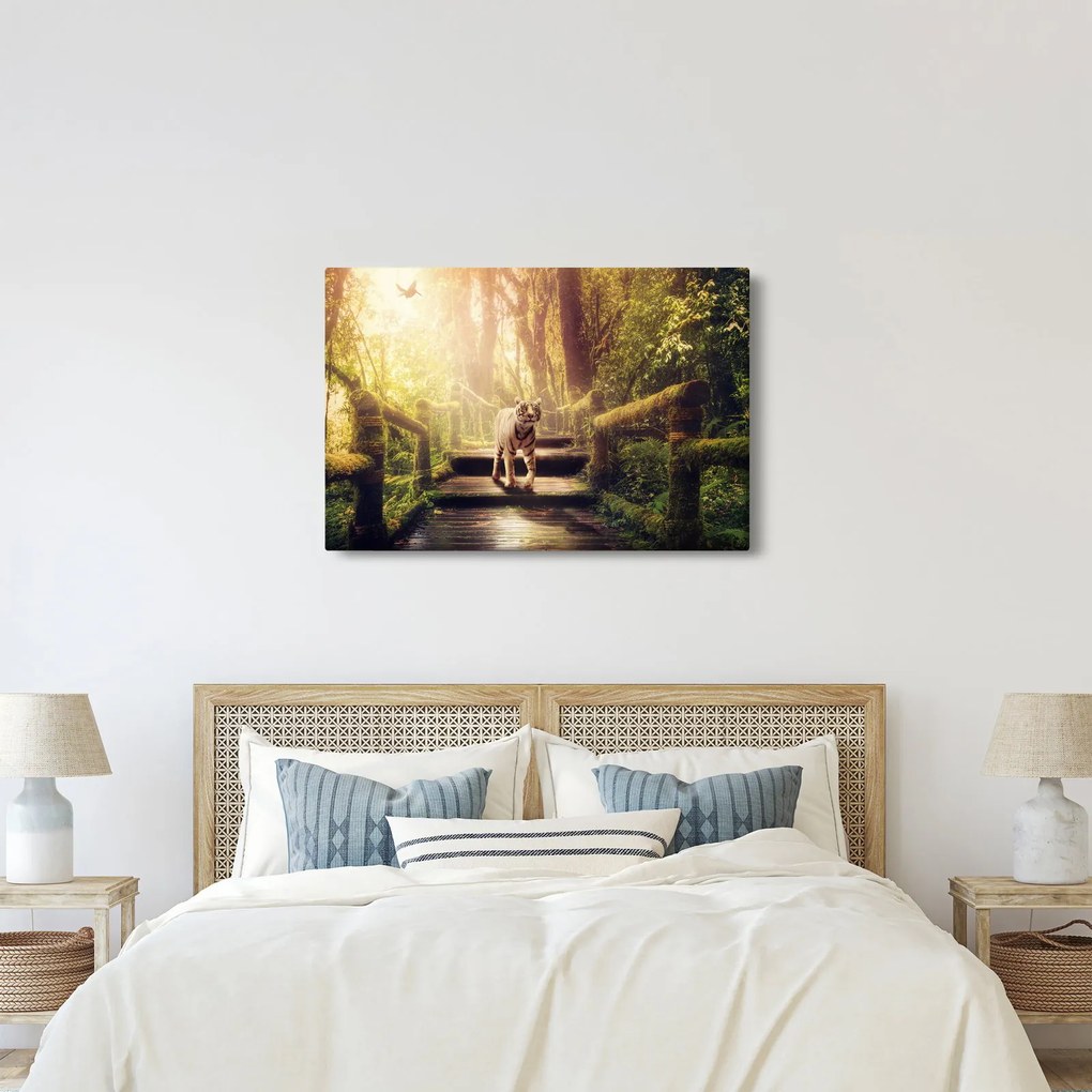 Obraz tigra (90x60 cm)
