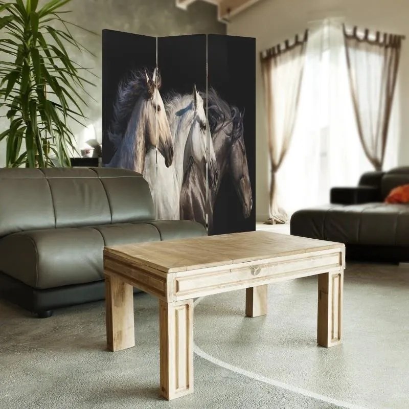 Gario Paraván Tri kone Rozmery: 110 x 170 cm, Prevedenie: Otočný paraván 360°