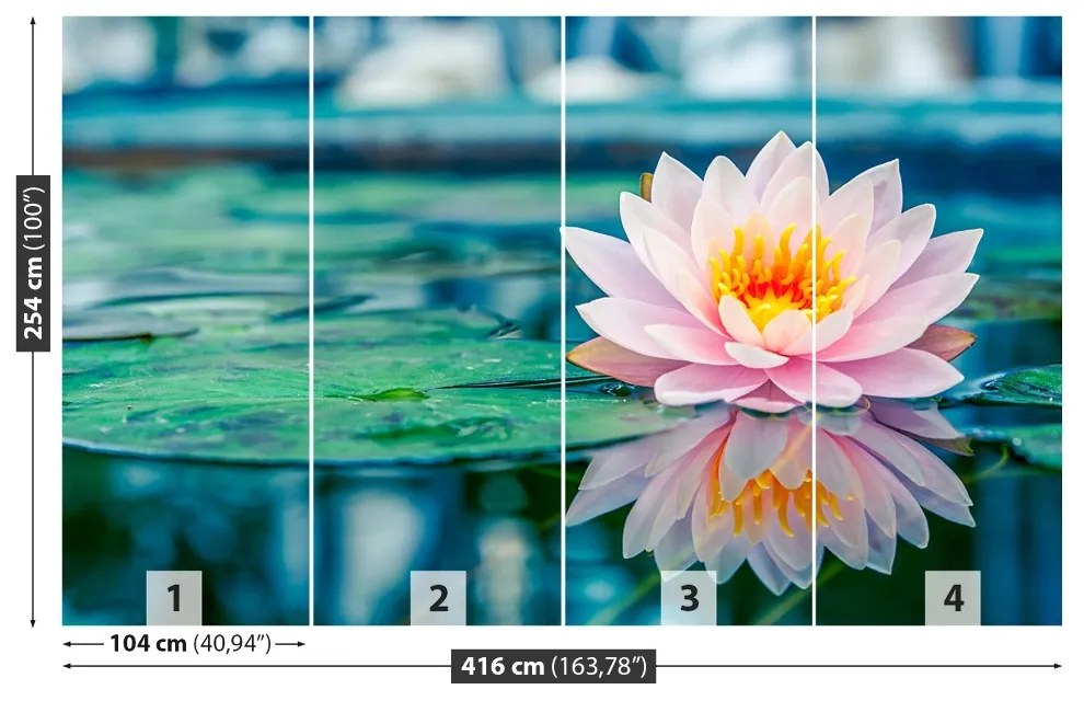 Fototapeta Vliesová Ružový lotos 250x104 cm
