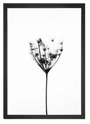 Obraz Tablo Center Misty Splender, 24 × 29 cm