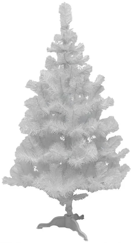 Vianočný stromček borovica biela 150