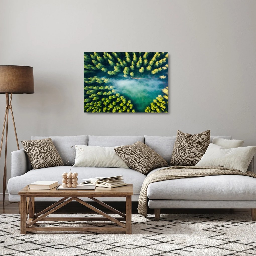 Sklenený obraz - Hmlou zahalený les (70x50 cm)