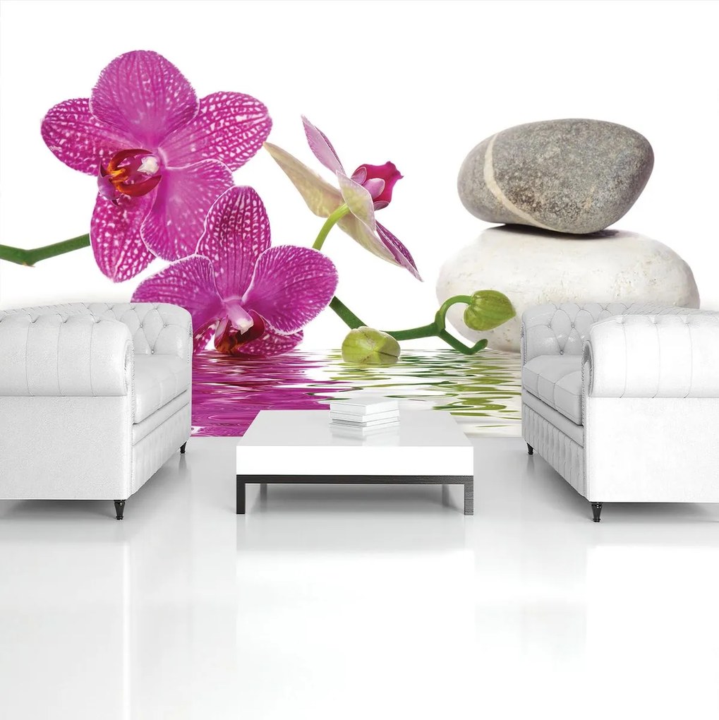 Fototapeta - Orchidey (152,5x104 cm)
