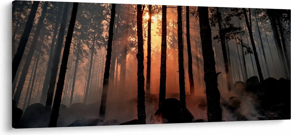 Obraz temného lesa (120x50 cm)