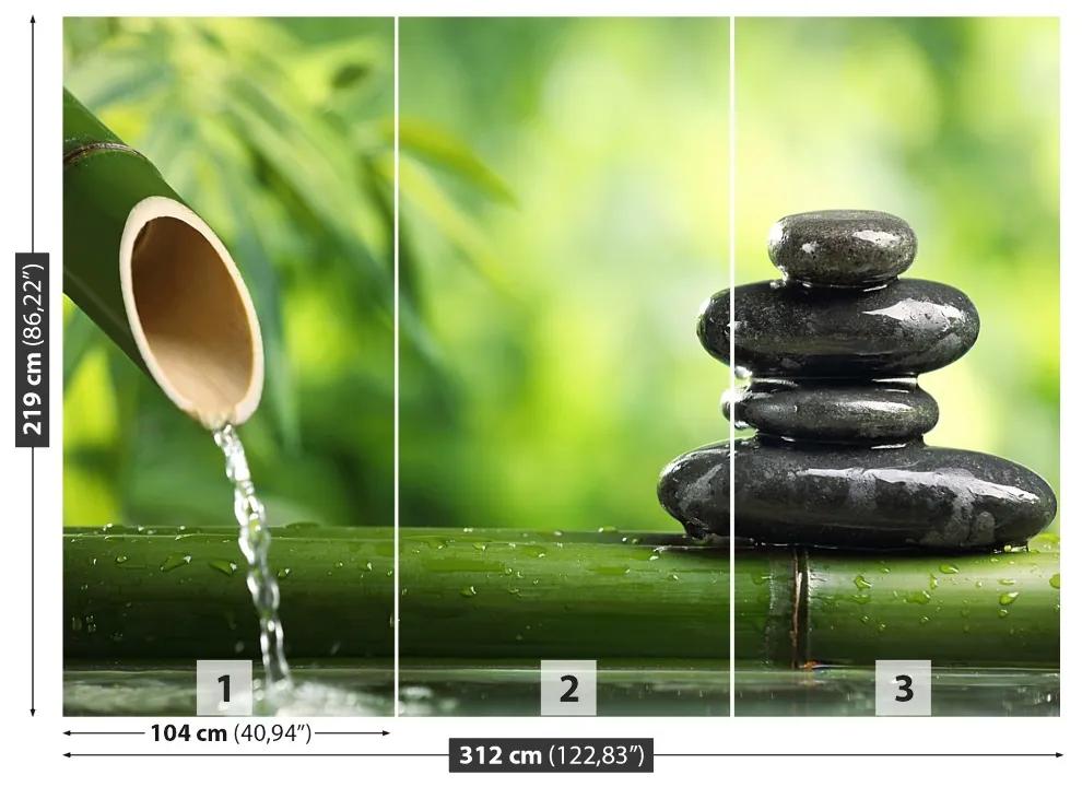 Fototapeta Vliesová Bambusová fontána 208x146 cm