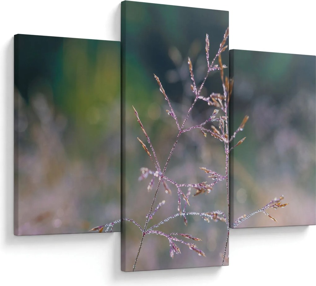 Obraz - Detail traviny (90x60 cm)