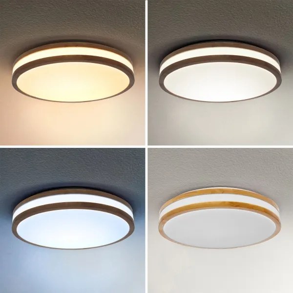 Brilagi - LED Stmievateľné stropné svietidlo MOLINA LED/48W/230V 3000-6500K + DO