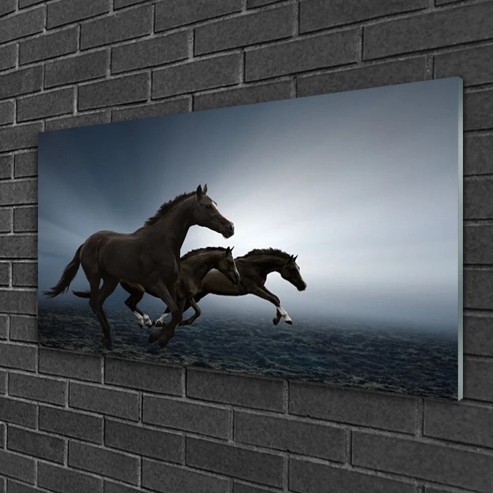 Obraz na skle Kone zvieratá 125x50 cm