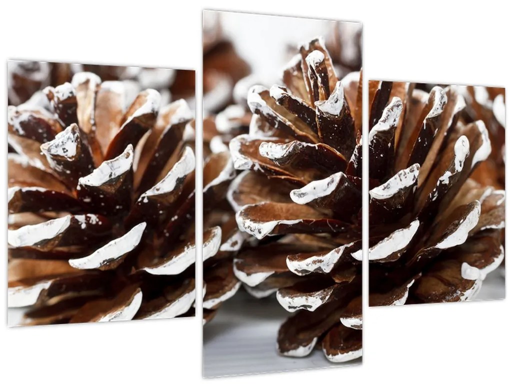 Obraz - Šišky (90x60 cm)