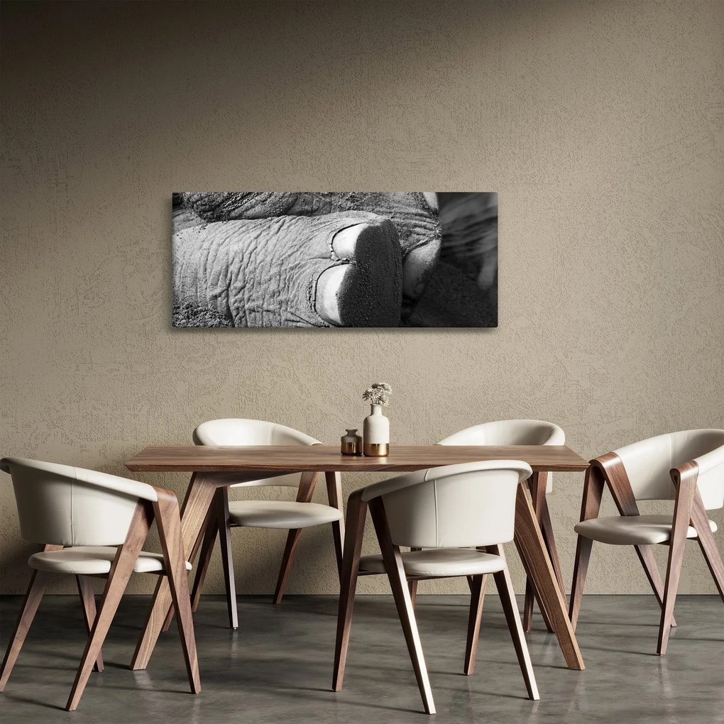 Obraz - Slonia noha (120x50 cm)