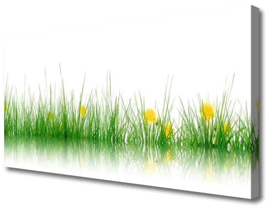 Obraz Canvas Príroda tráva kvety 120x60 cm