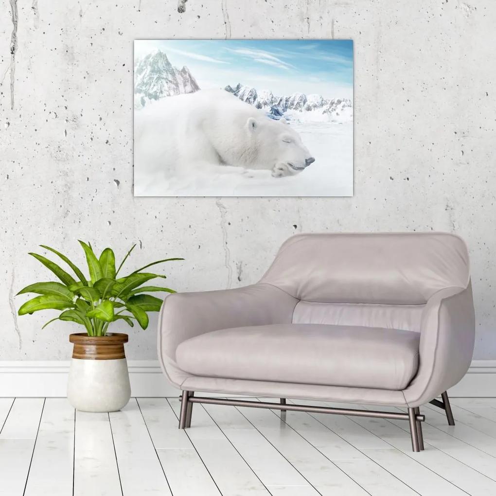Sklenený obraz - Ľadový medveď (70x50 cm)