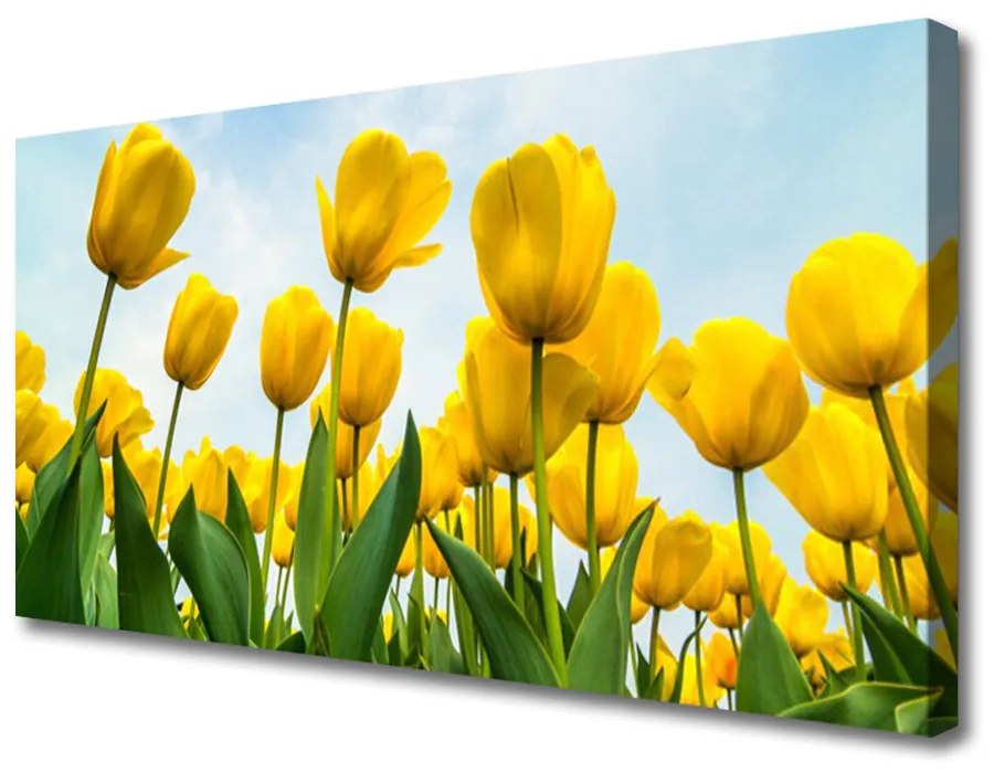 Obraz Canvas Tulipány kvety rastlina 100x50 cm