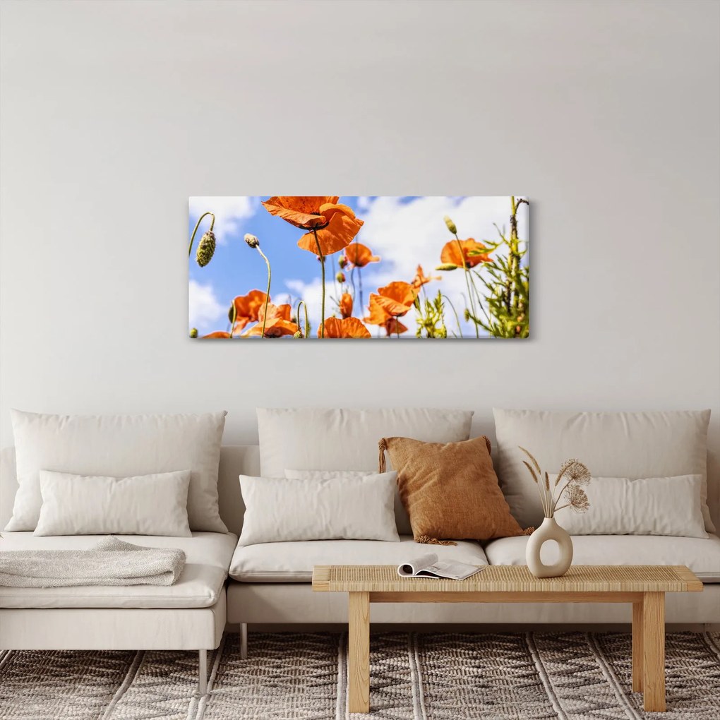 Obraz vlčích makov (120x50 cm)