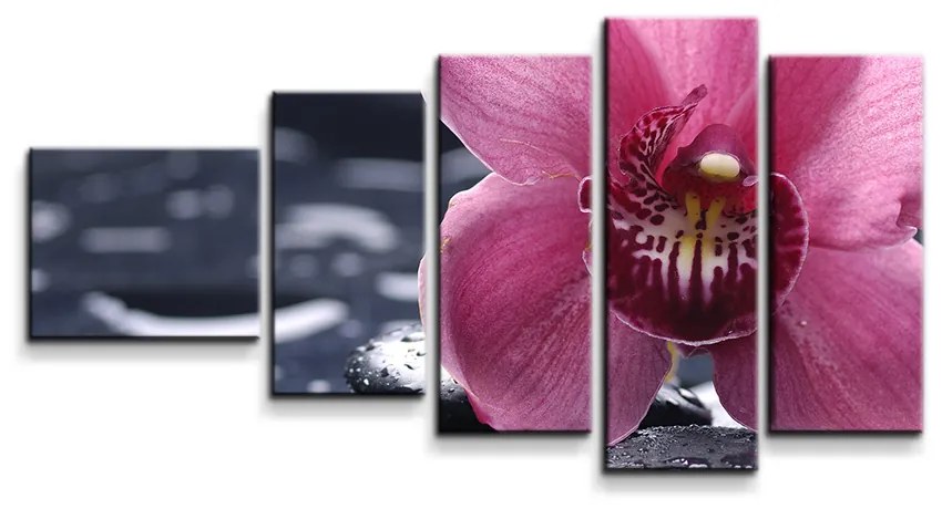 Sablio Obraz - 5-dílný Orchidea - 100x60 cm
