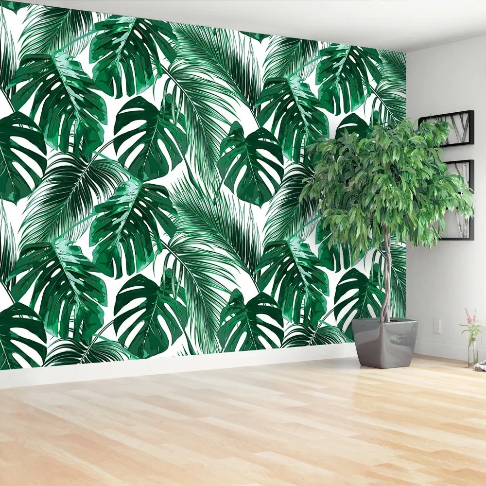 Fototapeta Vliesová Monstera deravá 208x146 cm