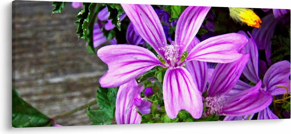 Obraz - lúčne kvety (120x50 cm)