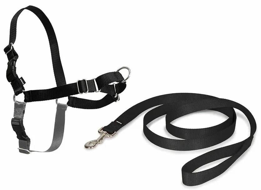 PetSafe Postroj EasyWalk čierny XL