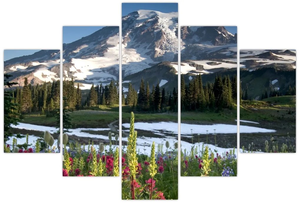 Obraz - Mount Rainier (150x105 cm)