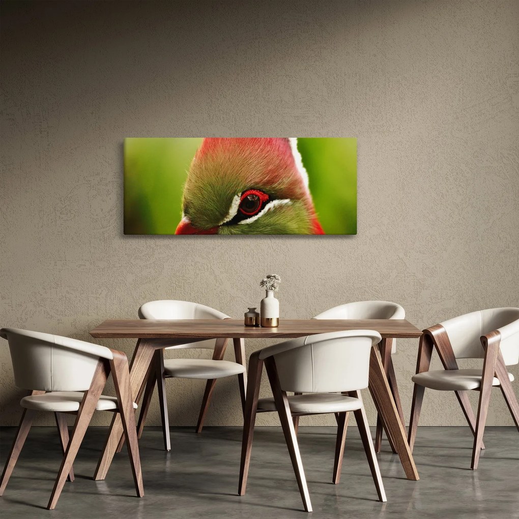 Obraz farebného vtáka (120x50 cm)