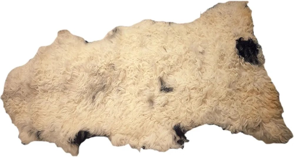 SIT MÖBEL Koberec z ovčej kože THIS & THAT 40 × 80 cm 50 × 100 cm 40 × 80 cm – 50 × 100 cm