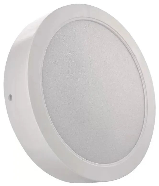 LED Stropné svietidlo LED/24W/230V pr. 22 cm biela