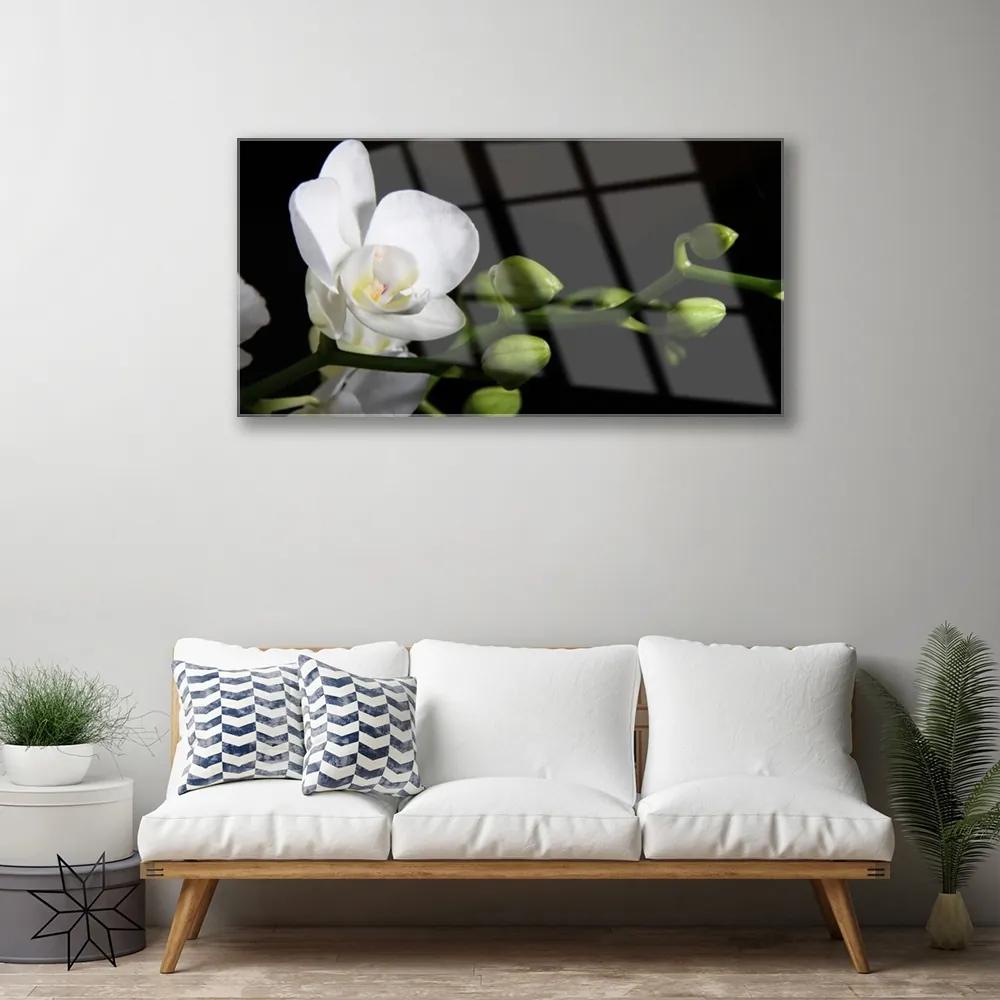 Obraz plexi Kvet rastlina príroda 100x50 cm