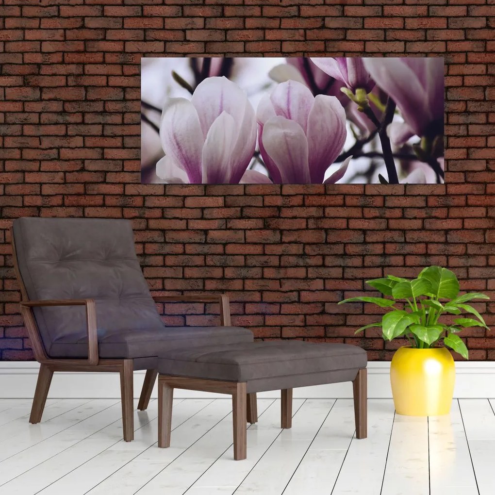 Obraz - Magnolie (120x50 cm)