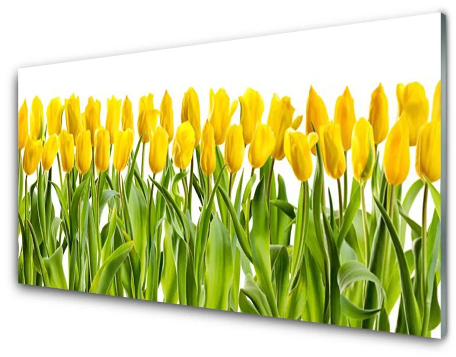 Sklenený obklad Do kuchyne Tulipány kvety príroda 140x70 cm