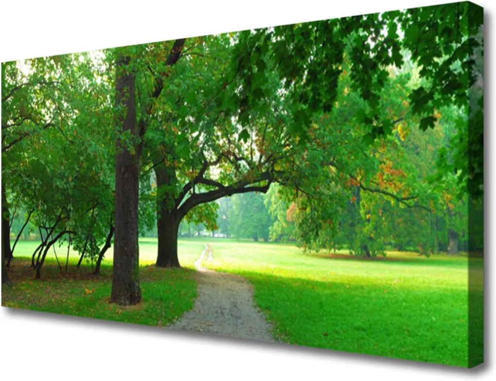 Obraz Canvas Chodník Stromy Príroda