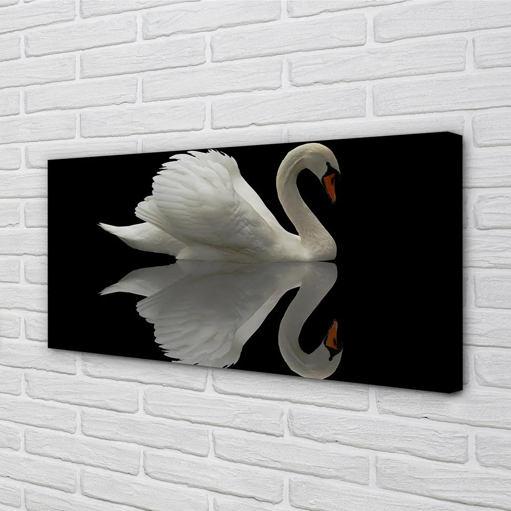 Obraz na plátne Swan v noci 120x60 cm