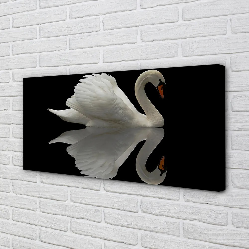Obraz na plátne Swan v noci 140x70 cm