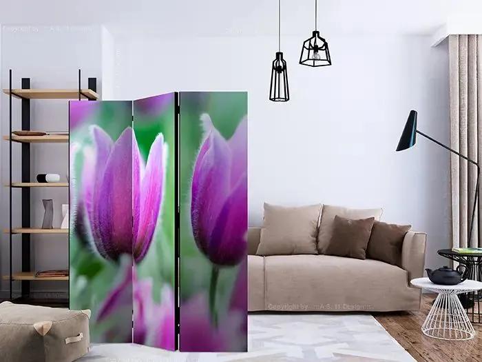 Paraván - Purple spring tulips [Room Dividers] Veľkosť: 135x172, Verzia: Akustický
