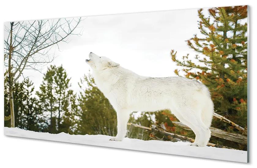 Nástenný panel  Vlk v zime lese 100x50 cm